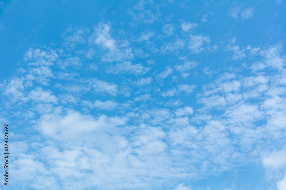 Fototapeta premium 季節雲