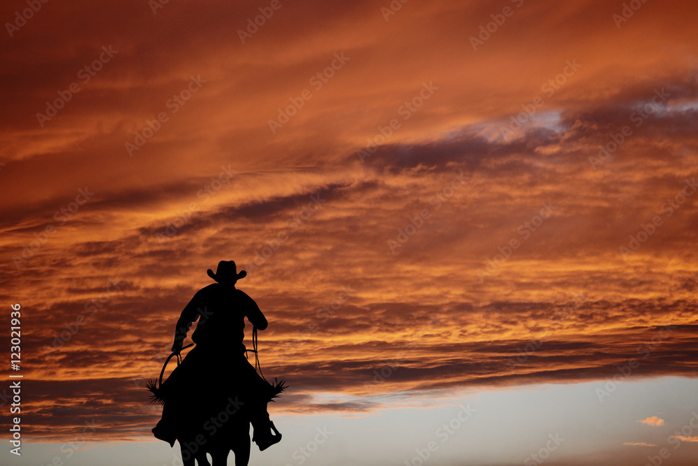 Cowboy on a horse Cowboy on a horse
