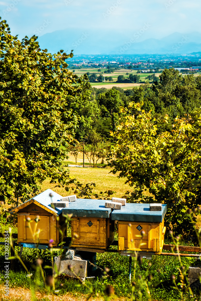 Fototapeta premium Greek colorful and beautiful country