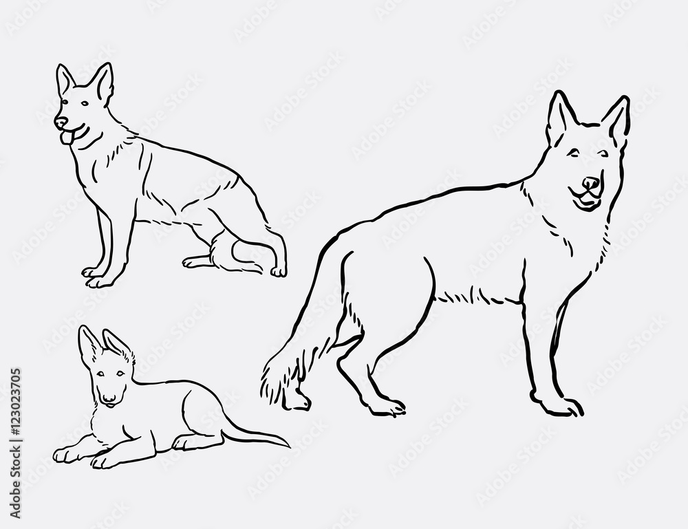 Shepherd dog pet animal, good use for symbol, logo, web icon, mascot, sticker, decoration element, or any design you want.
