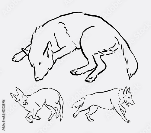 Dog activity pet animal line art. good use for symbol, logo, web icon, mascot, decoration element, object, or any design you want.