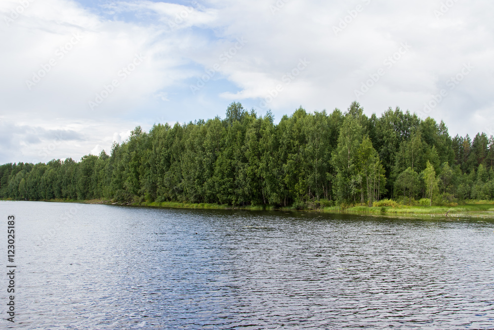 Summer Landscape