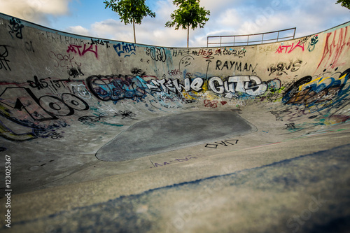 At the skatepark photo