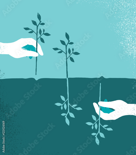 Piantare alberi