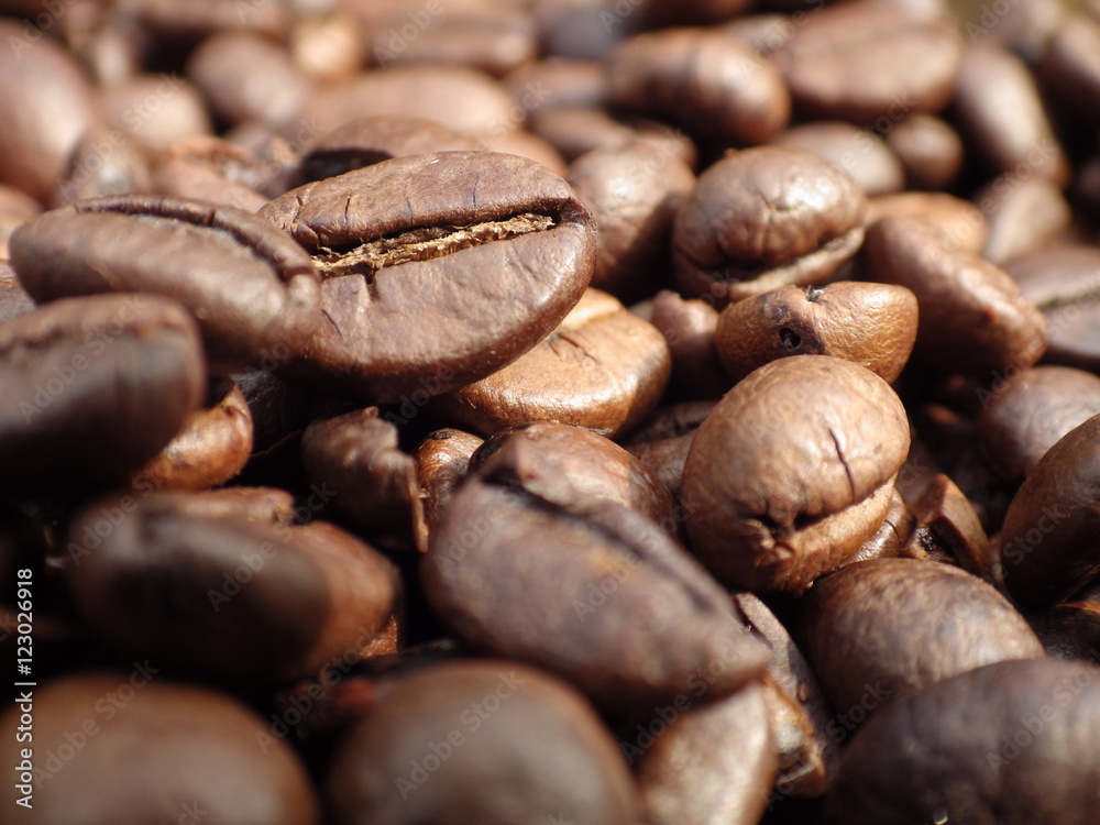 Naklejka premium Coffee Bean Background Texture