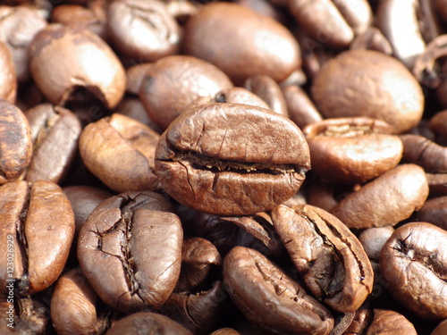 Coffee Bean Background Texture