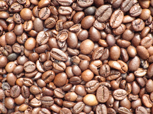 Coffee Bean Background Texture