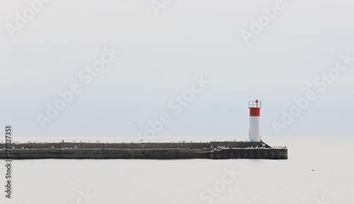 Pier with gulls jutting into a quiet Lake Erie on a grey day © John Wijsman