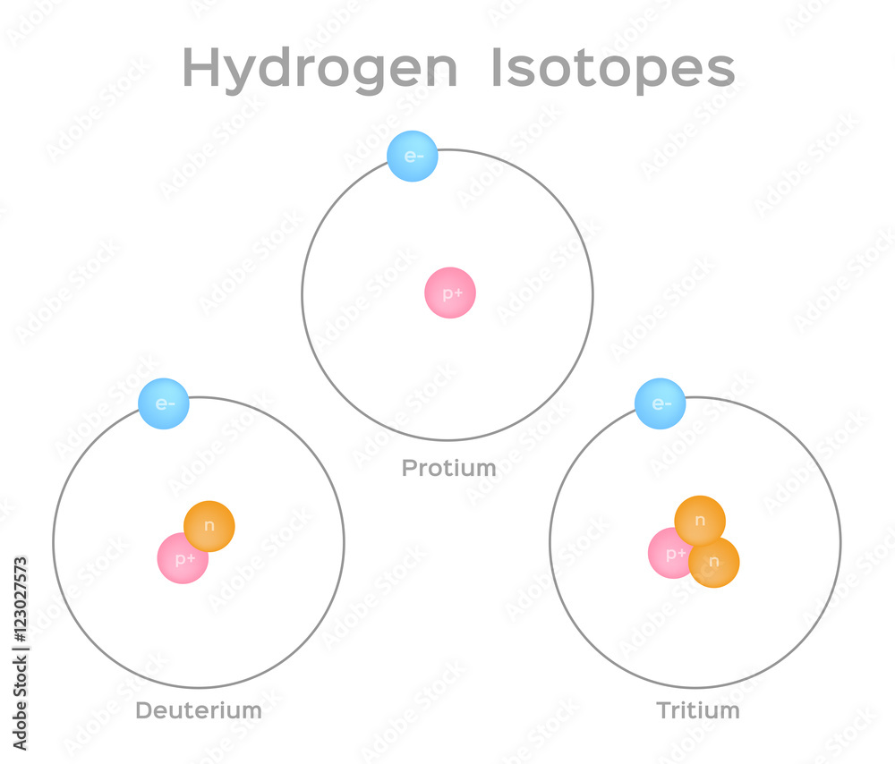 isotope of hydrogen . 3 steps of hydrogen . vector Stock Vector | Adobe ...