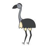 Vector cartoon hand drawn ostrich