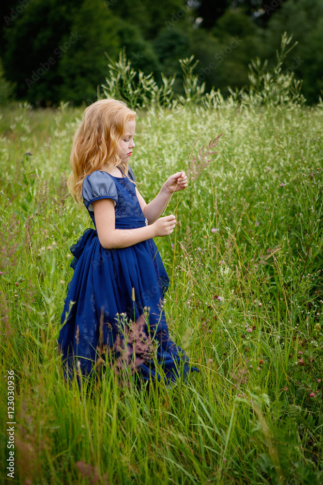 Portrait of beautiful little girl in the blue dress on the nature
