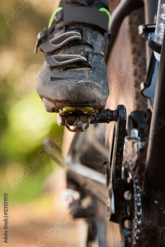Low section of mountain biker riding bicycle