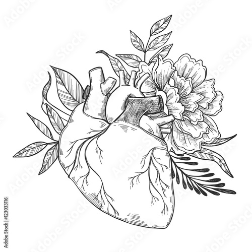Hand drawn vector illustrations - Human heart with flowers and l