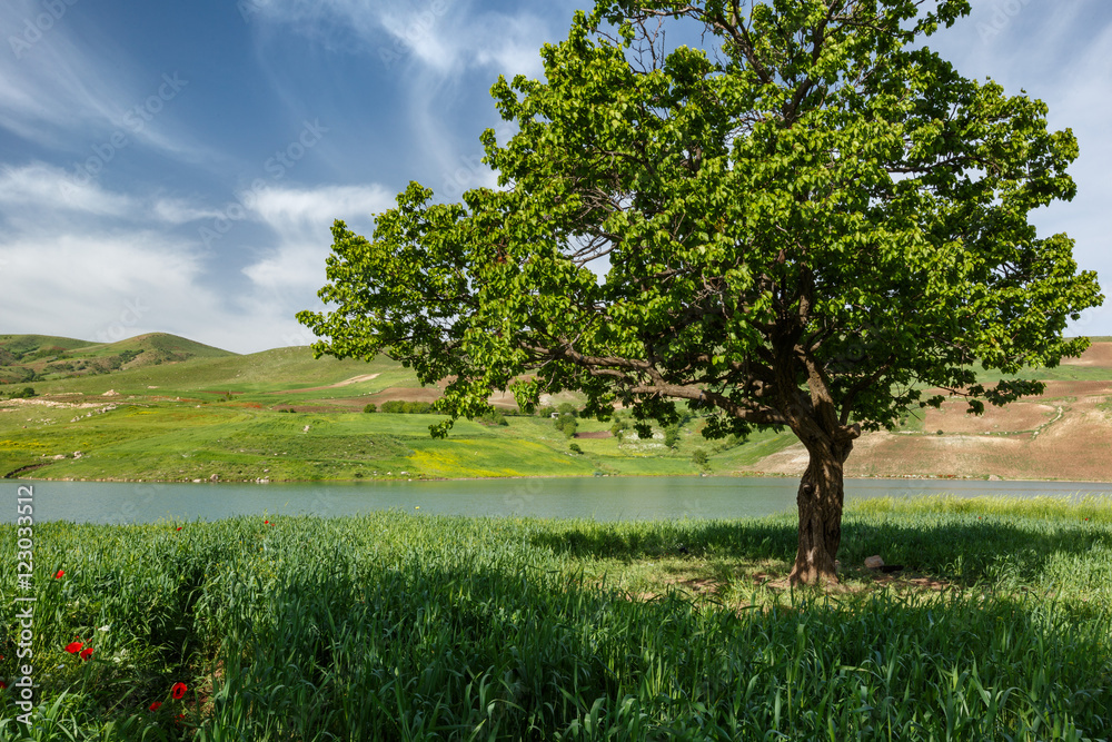 Obraz premium Kamyaran, Kurdestan, Iran