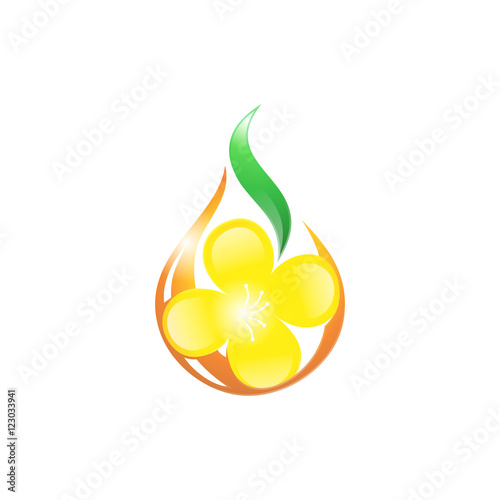 Canola Flower Oil Natural Logo Icon