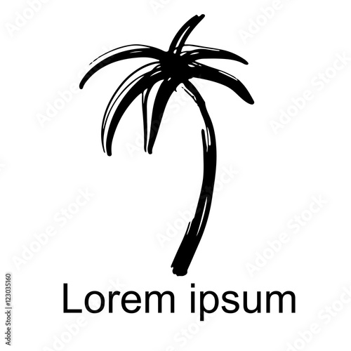 Palm tree icon, logo