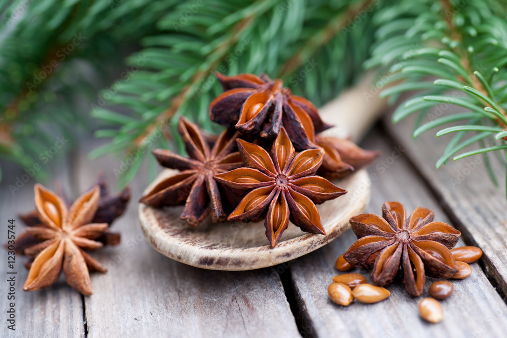 Sternanis StockFoto Adobe Stock