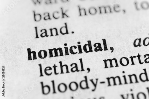 Obraz na plátně Homicidal
