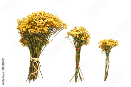 three bouquets of dried flowers on a white background