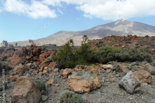 Volcano Teide on island Tenerife