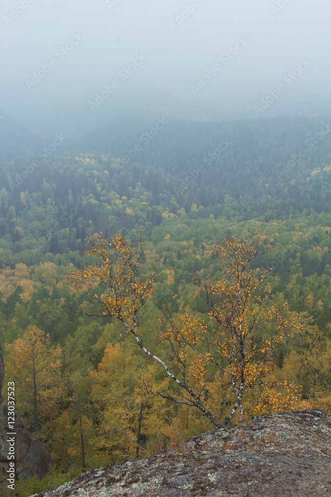 Красивый сибирский пейзаж. На краю скалы. Beautiful Siberian landscape. On the edge of the rock. Красивый сибирский пейзаж. На краю скалы. Beautiful Siberian landscape. On the edge of the rock.
