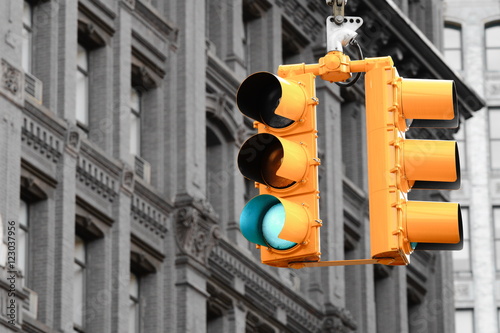 Traffic Light in New York