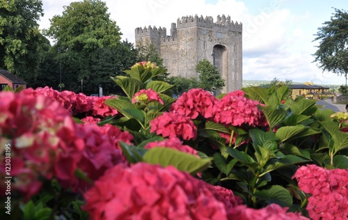 Irland, Bunratty Castle photo