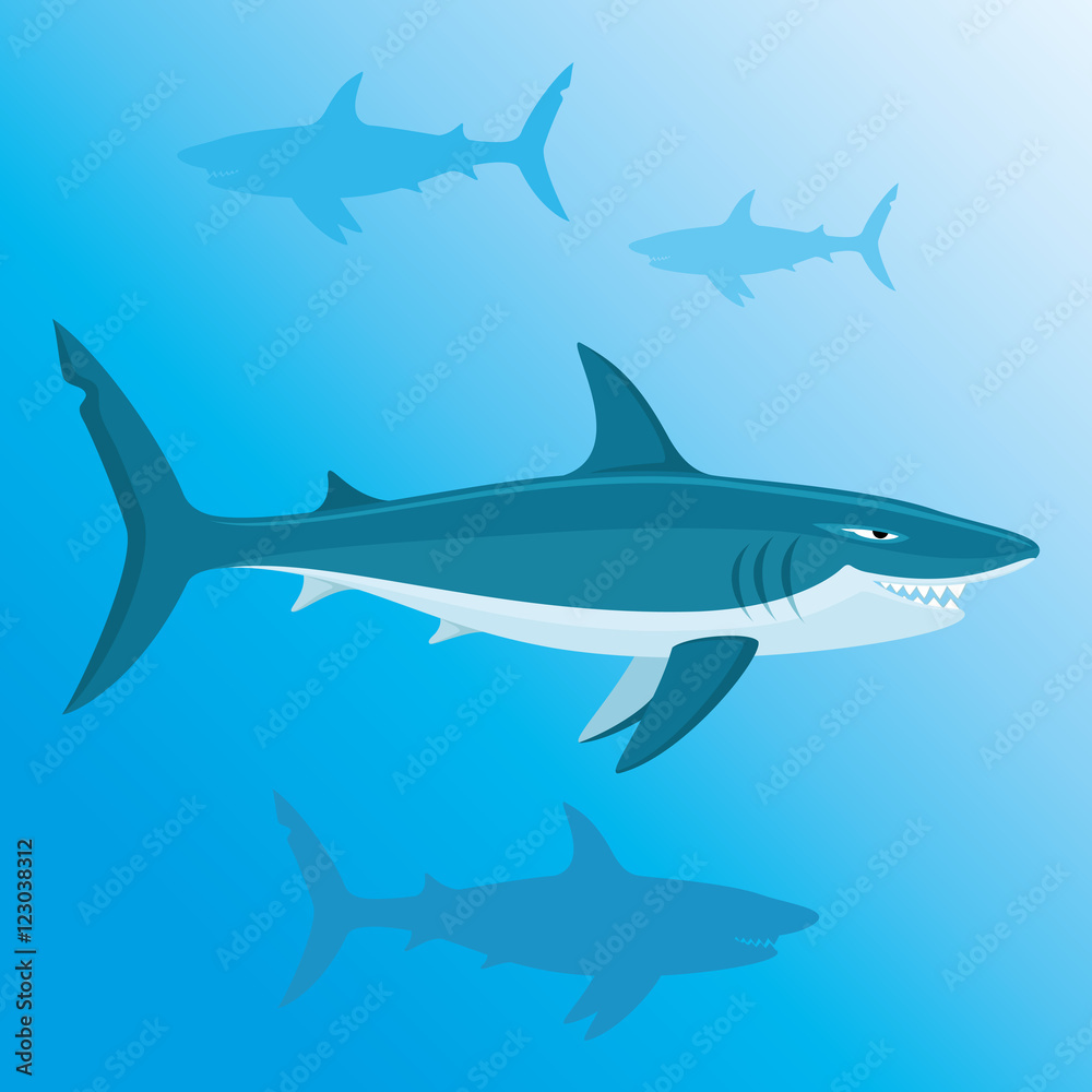 Fototapeta premium Shark.