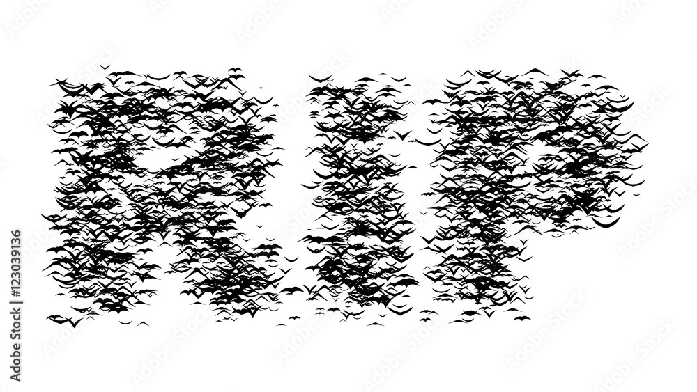 A flock of flying birds forms RIP - part of timelapse, stop motion, gif animation. Rest In Peace formed by birds.