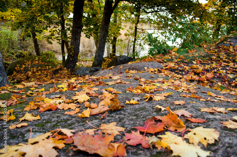 Autumn in the Park. Red leaves on a background of stone. Autumn in the Park. Red leaves on a background of stone.