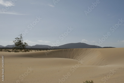 Natural-park  Corralejo   Fuerteventua  Canary Islands  Spain