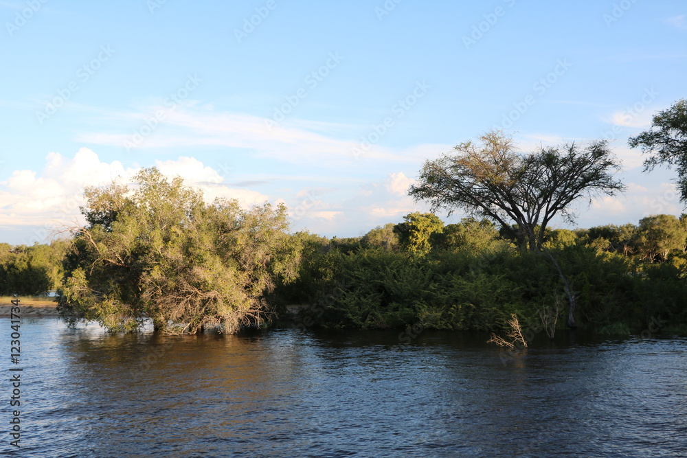 Shore of Sambesi River, Zambia Africa Shore of Sambesi River, Zambia Africa
