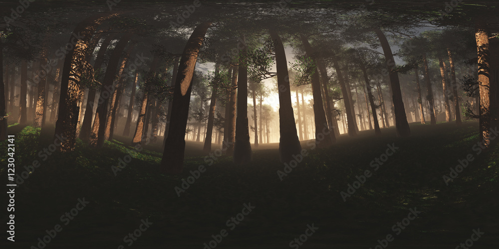 Fototapeta premium Epical Magic Forest Sunset VR360