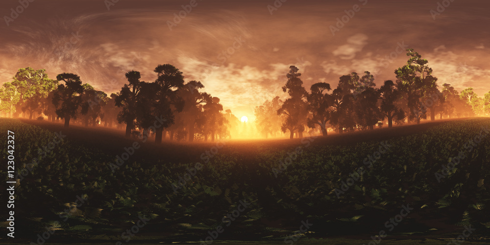 Obraz premium Epical Magic Forest Sunset VR360