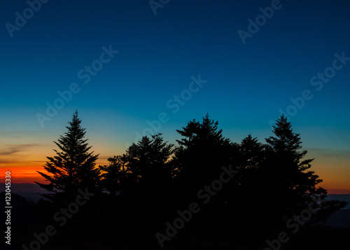 Silhouette of Pines at Sunset With Clear Sky © kellyvandellen
