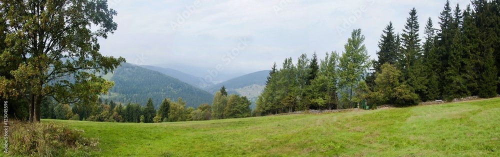 Beautiful panorama of forest landscape
