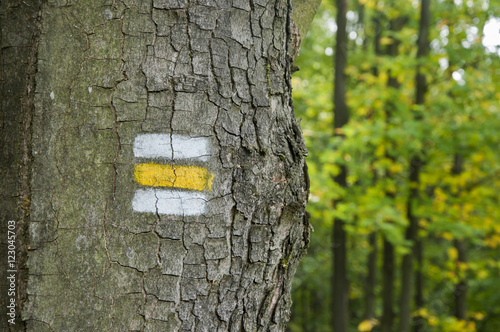 Yellow tourist sign on tree