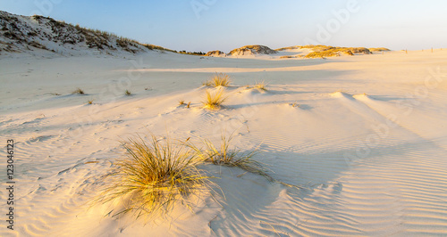 beautiful view of the coastal dunes