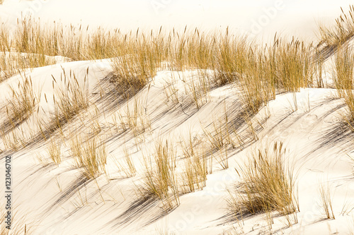 beautiful view of the coastal dunes