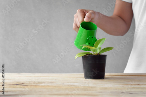 woman watering a plant