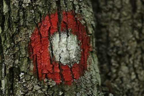 Mountain sign