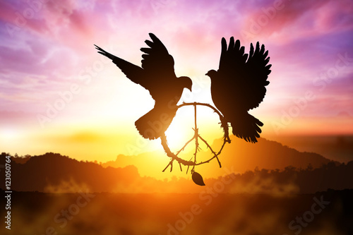 Fotografia, Obraz silhouette of pigeon dove holding branch in peace sign shape