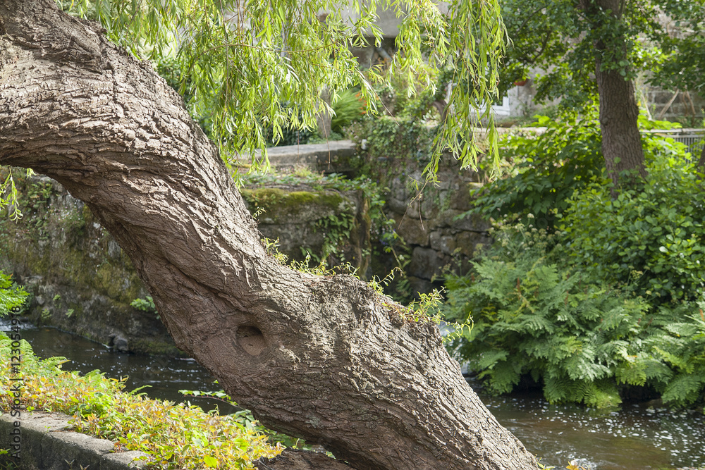 Fototapeta premium Aven river at Pont-Aven in Brittany