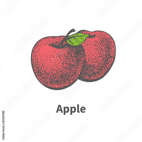 Vector drawing hand-drawn ripe juicy red apple