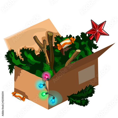 Christmas tree kept in box after holiday. Vector