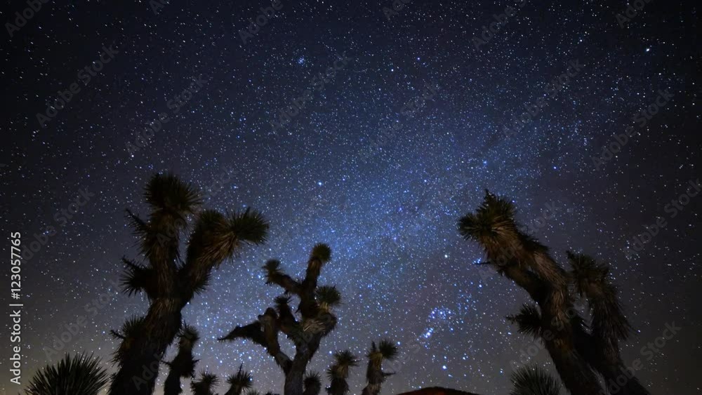 Astro Time Lapse of Constellation Orion Setting over Joshua Tree -Tilt Down-