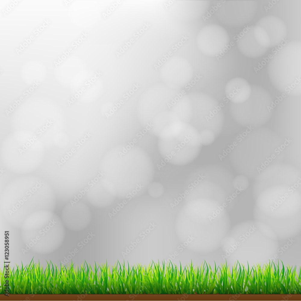 Obraz premium Natural Green Grass Background with Focus and Bokeh