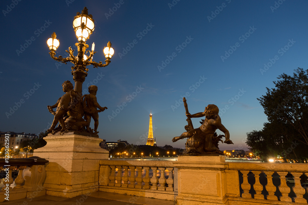Fototapeta premium Alexander III Bridge