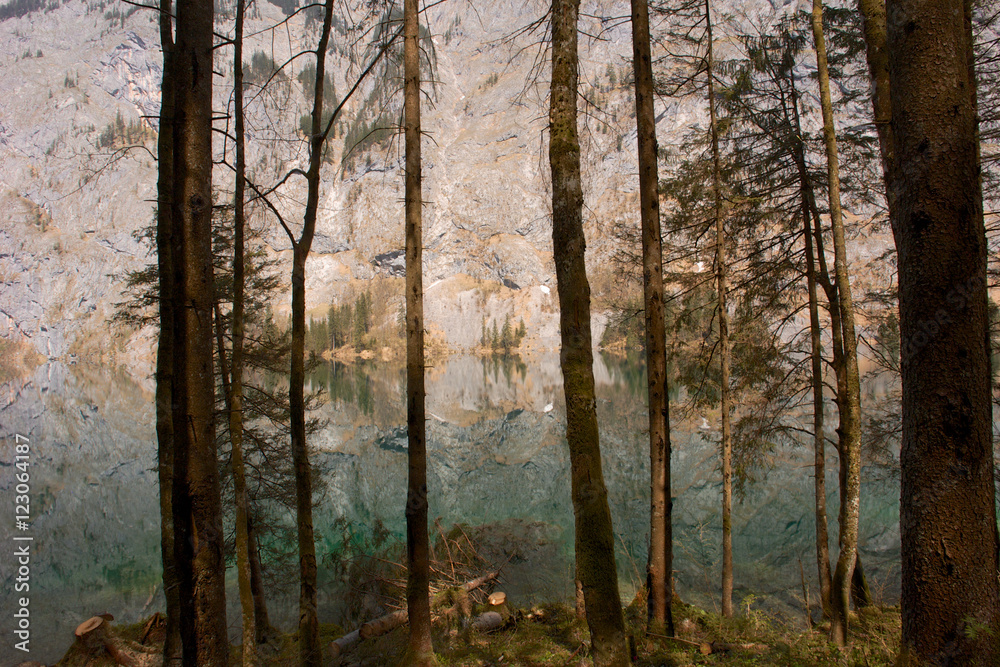 Obraz premium Königssee, 