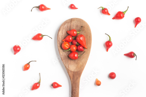 Biquinho Pepper into a spoon. Capsicum Chinense photo